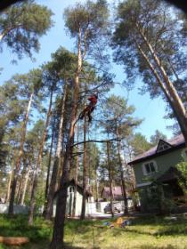 Подъём альпиниста на дерево без повреждения ствола