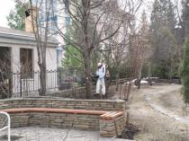 Весенняя обработка деревьев на участке от болезней и вредителей, КП "Карасьеозерский-2"